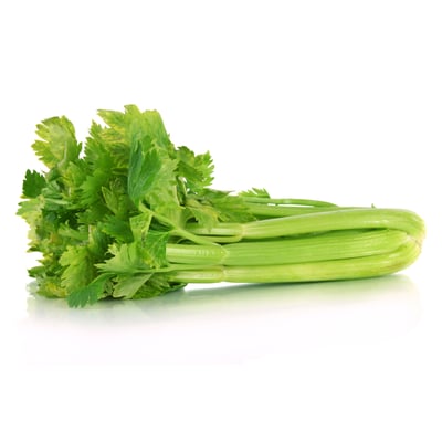 Bunch Celery