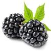Blackberries 5.6 oz 5.6 ounces