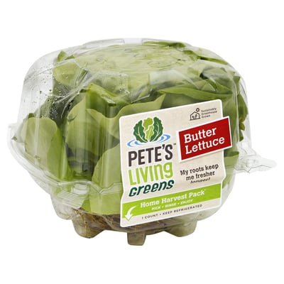Petes Living Greens, Butter Lettuce, Home Harvest Pack