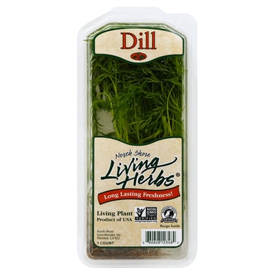 North Shore Living Herbs, Dill