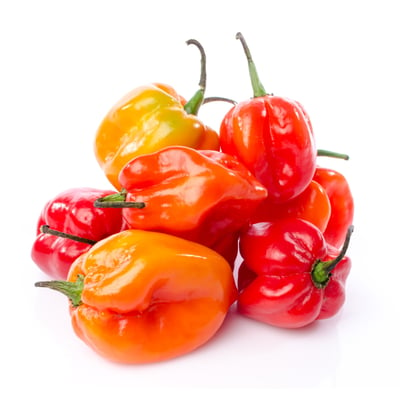 Habanero Peppers - Capsicums (Each)