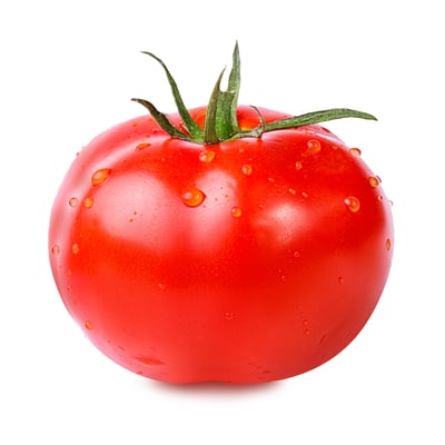 Greenhouse/Hydroponic/Regular Tomatoes (Each)