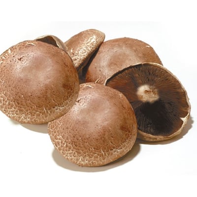 Portabella Cap Mushroom 12 oz